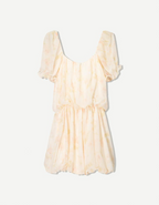 Printed Tan Puffed Dress